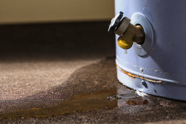 Best Basement water damage restoration  in Energy, IL