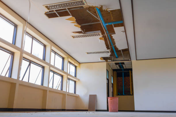  Energy, IL Water damage restoration Pros