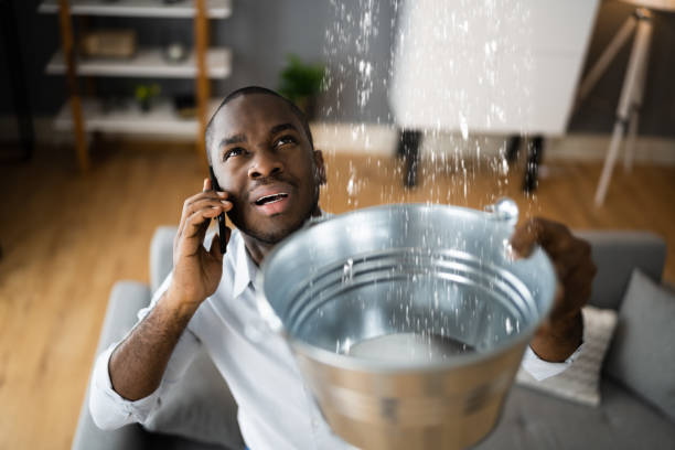 Best Water damage contractors near me  in Energy, IL