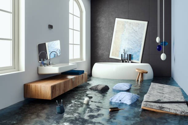 Best Residential water damage restoration  in Energy, IL