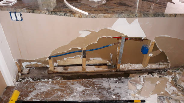 Best Flooded house restoration  in Energy, IL