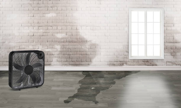Best Fire Damage Restoration  in Energy, IL
