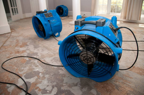Best Commercial water damage restoration  in Energy, IL