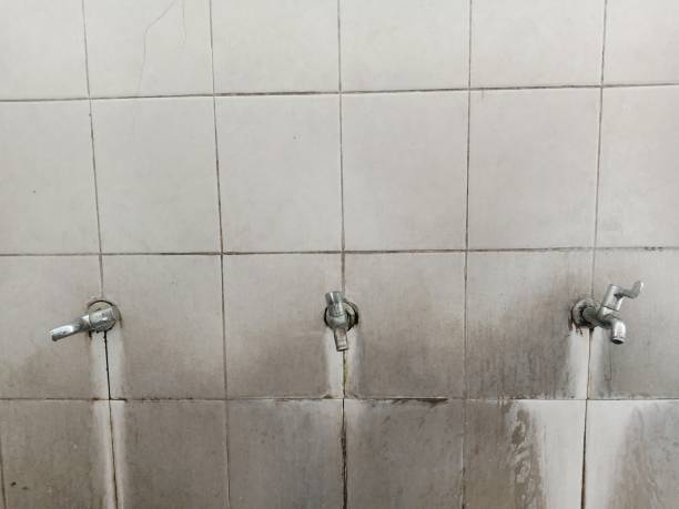 Best Water damage restoration near me  in Energy, IL