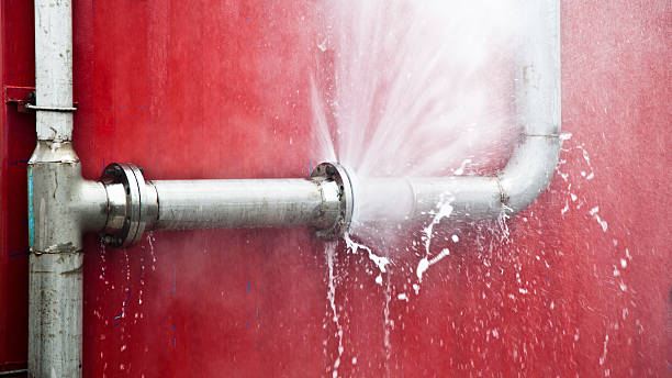 Best Water damage contractors near me  in Energy, IL
